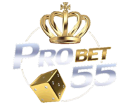 probet55 คาสิโนเว็บตรง อันดับ 1 บาคาร่าออนไลน์ แตกหนักจ่ายจริง